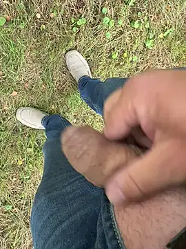 DickInTheWild Webcam-Show