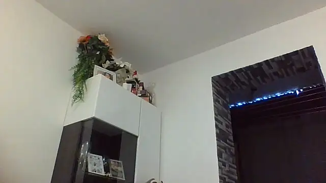 Pysymilf's Webcam Show