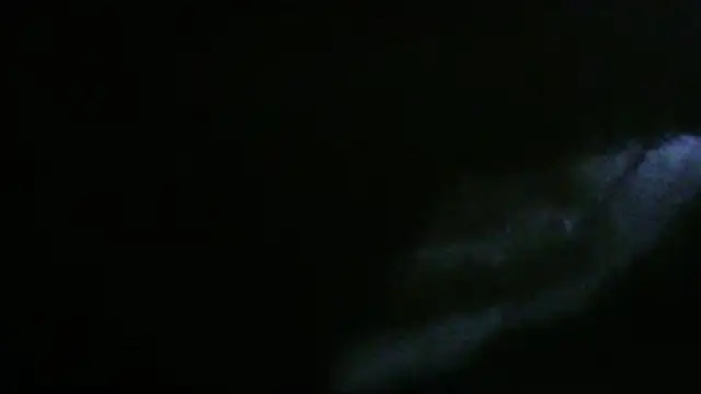 flayeyena's Live XXX Chat