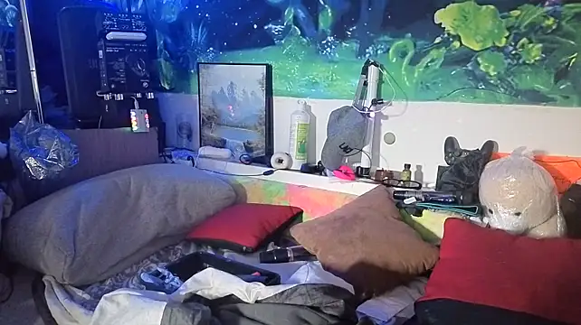 Chat +18 de Cojote ao vivo