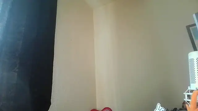 Guyst049 লাইভ XXX চ্যাট