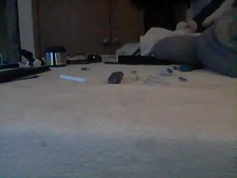 Show webcam de Silencio26