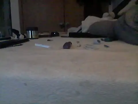 Silencio26's Webcam Show