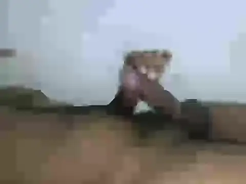 Webkamerová show danny69_69_69_