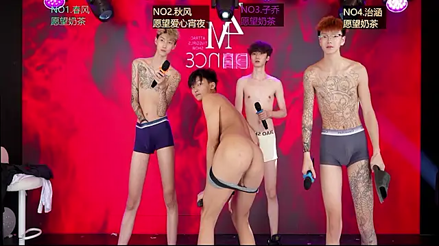 NDN-6666 Show Webcam