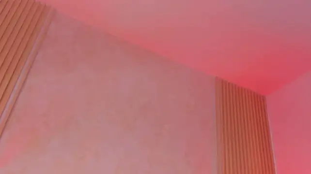 DAFNECOX live XXX chat