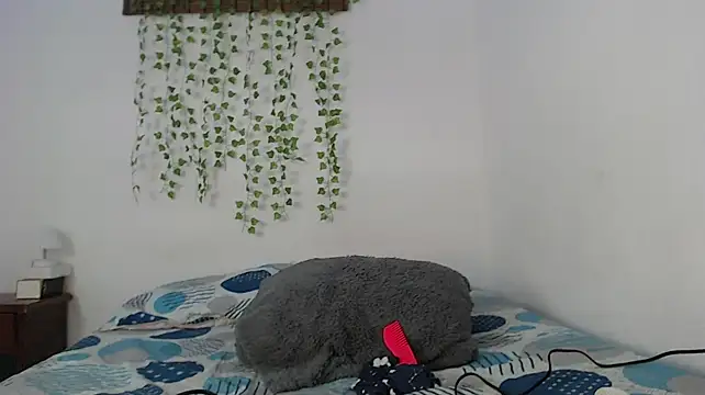 KamiYOscar Show Webcam