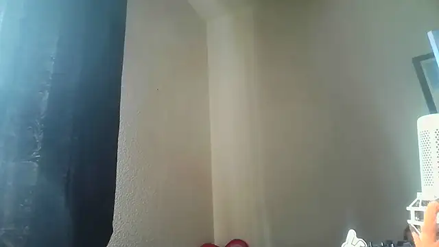 Guyst049 Live XXX-chat