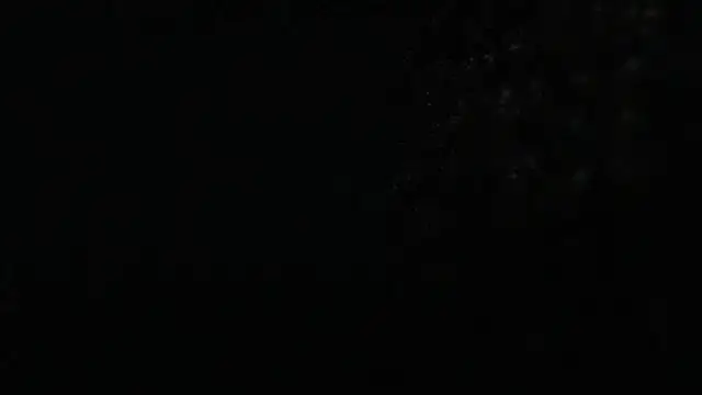 analbottom2's Live XXX Chat