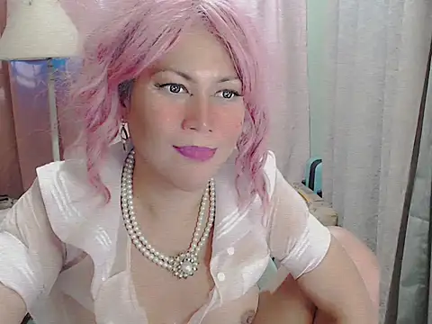 shanecummer 라이브 XXX 채팅