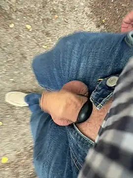 DickInTheWild Webcam-Show