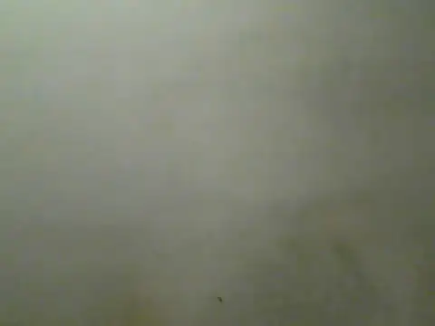 عرض كام Foxboy65