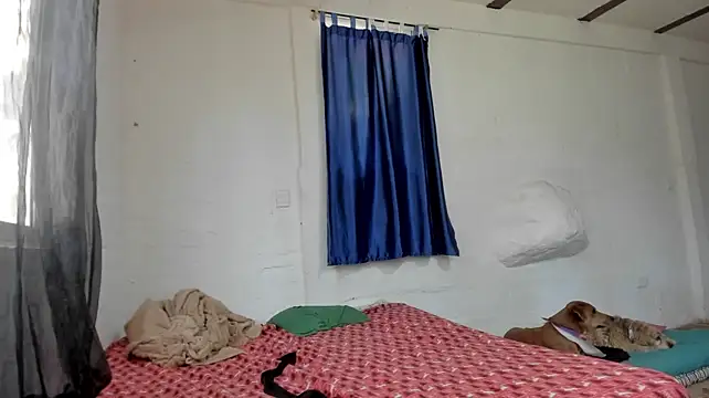 Chat XXX en directo de sexnherbs