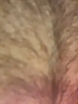 Gayginger86 Pertunjukan Webcam