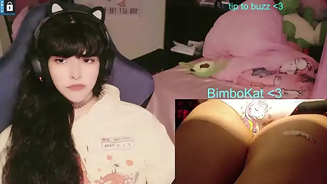 BimboCat 웹캠 쇼