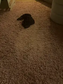 Živý XXX chat stelliew