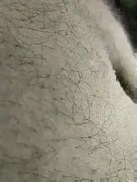 Chat +18 de erotickingfun ao vivo