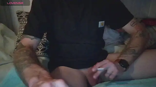 Stock-Holmes Webcam show