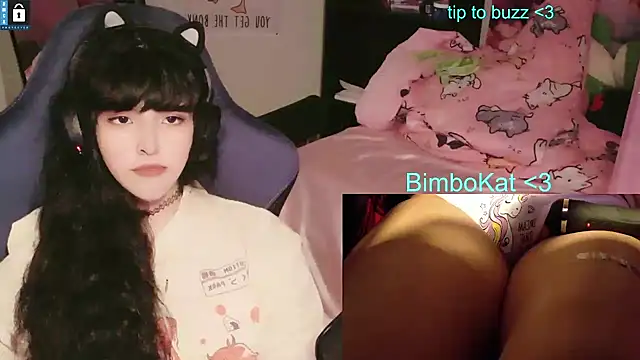 BimboCat – Live XXX-chat