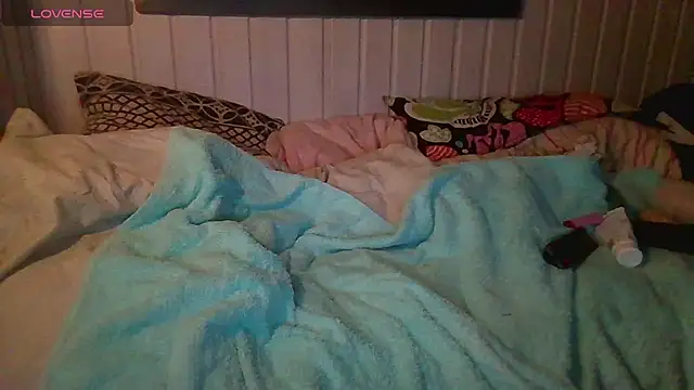 Stock-Holmes webcam show