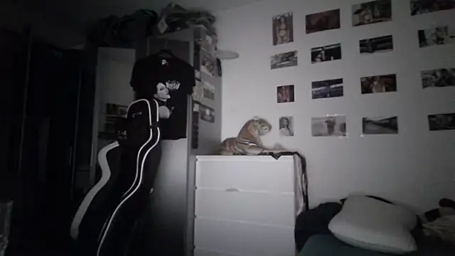 Вебкам-шоу xXxChrisKissxXx