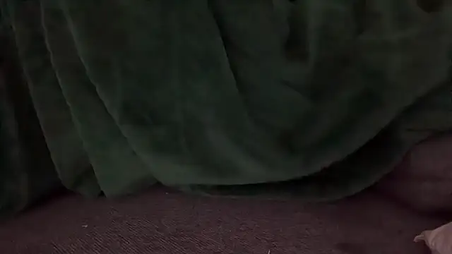 nanaisbackk 웹캠 쇼