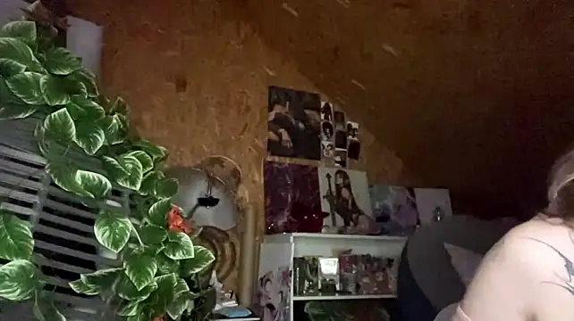 HeidiTian Webcam-Show