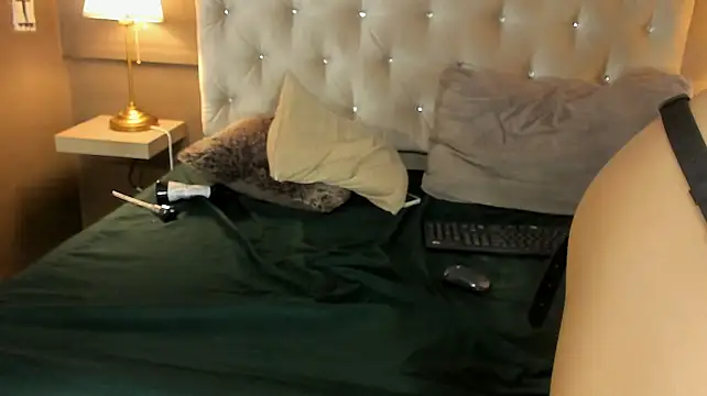 leam_foxn Webbikameraesitys