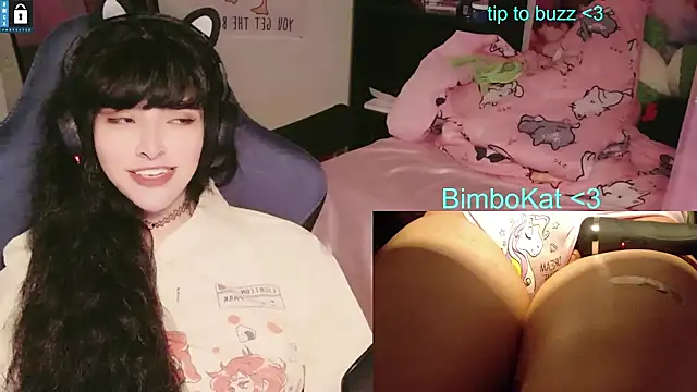 BimboCat 라이브 XXX 채팅
