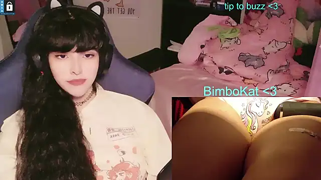 BimboCat: απευθείας συνομιλία ΧΧΧ