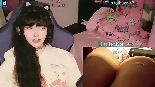 BimboCat Chat XXX live