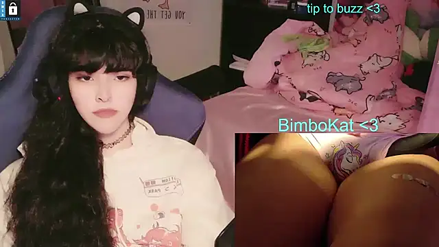 BimboCat 라이브 XXX 채팅