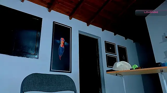 SilvaBranko – Naživo XXX chat