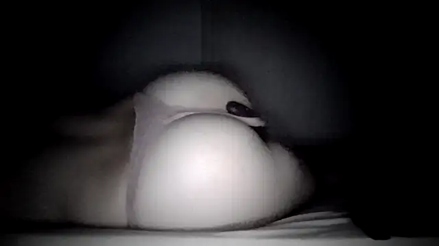 linzerschnittchenn Webbikameraesitys
