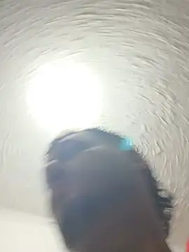 LatinBearXn Webbikameraesitys