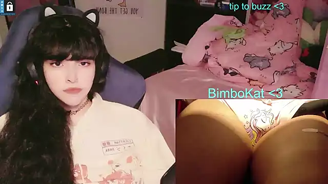 BimboCat Obrolan Langsung XXX