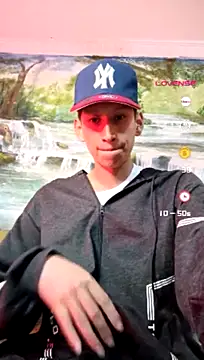 Disey888 Pertunjukan Webcam