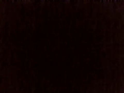 Chat XXX ao vivo de sugarnova254
