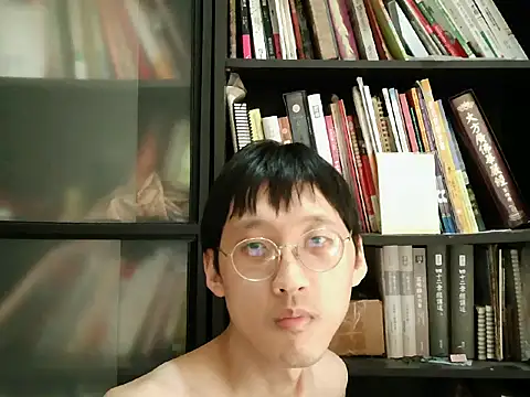 Lv8763 网络视讯表演