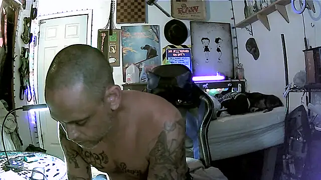 Chat +18 de Buffshagswell ao vivo