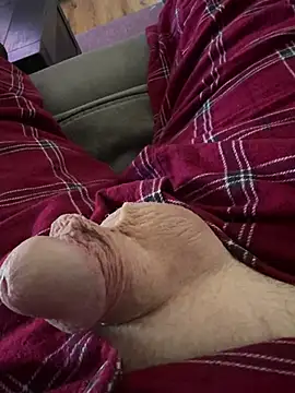 Leeandmick webcam show
