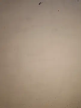 DIRTYSECRET_QUEEN_07 élő XXX-chatje