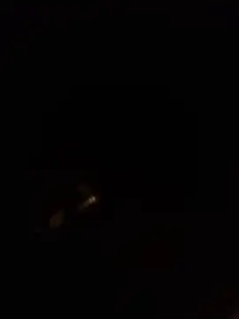 misterpanika Obrolan Langsung XXX