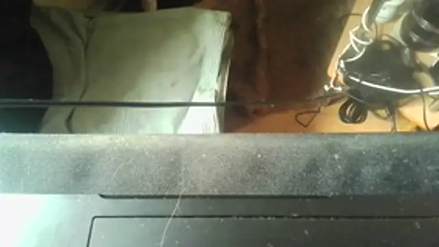 Guyst049 Live XXX Chat