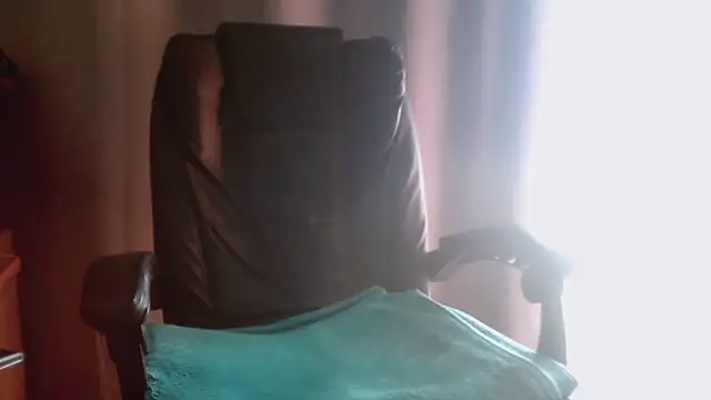Adymbyのウェブカメラショー