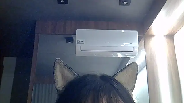 Show de webcam de SkinnyKitten
