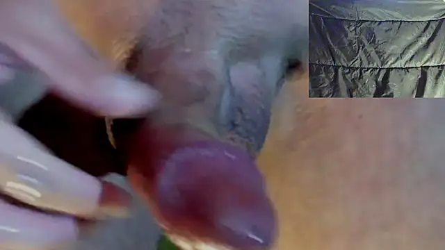 wetjuicycock702n Webbikameraesitys