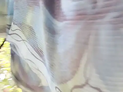 holygrail001のウェブカメラショー