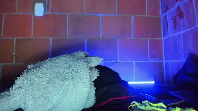 Cata-angel লাইভ XXX চ্যাট