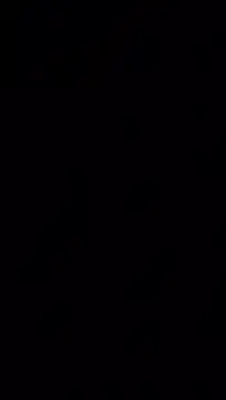 chronic_vibez Webcam show